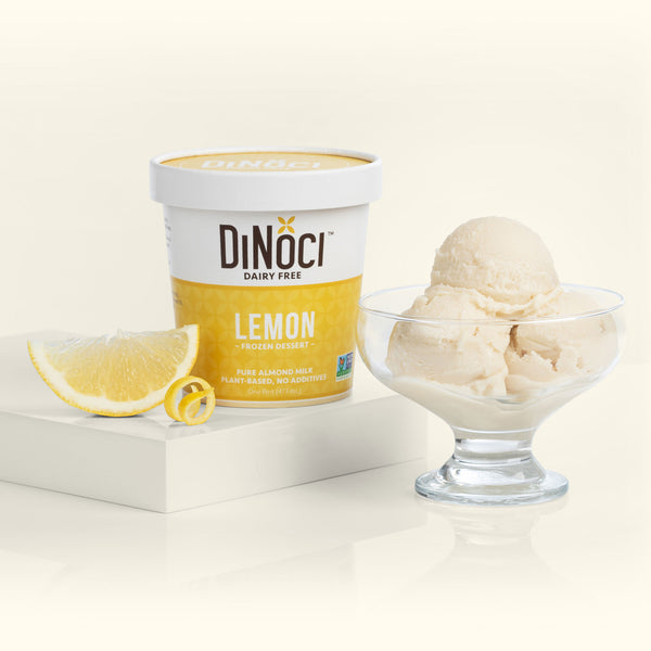 Ice Cream Scooper, Dinoci Dairy Free